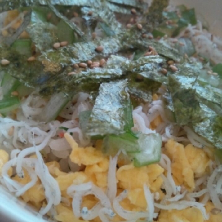 簡単さっぱり乗せるだけちりめん丼